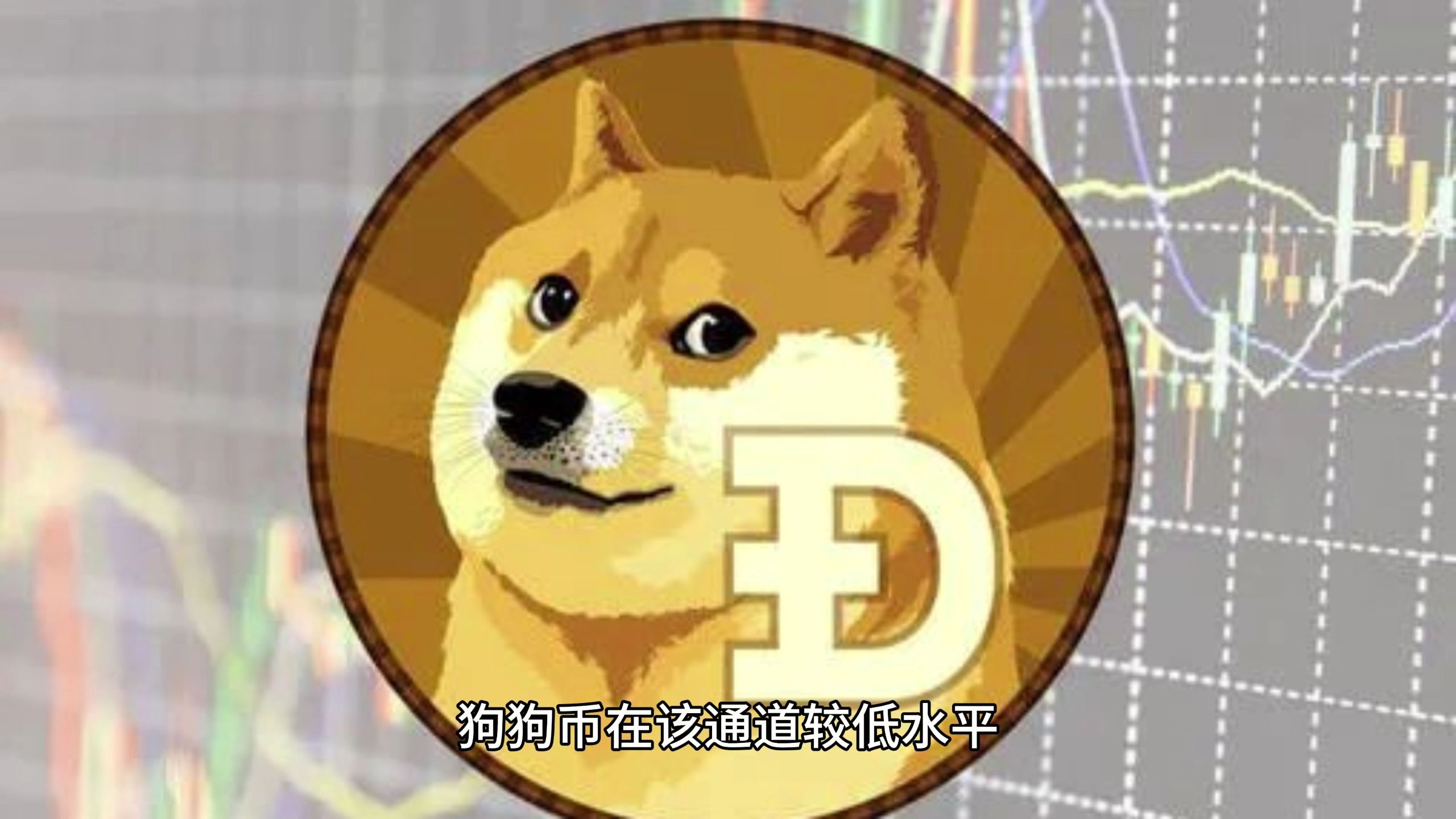 关于狗狗币攀升势惊人，一夜飙升100%，加密市场沸腾的信息
